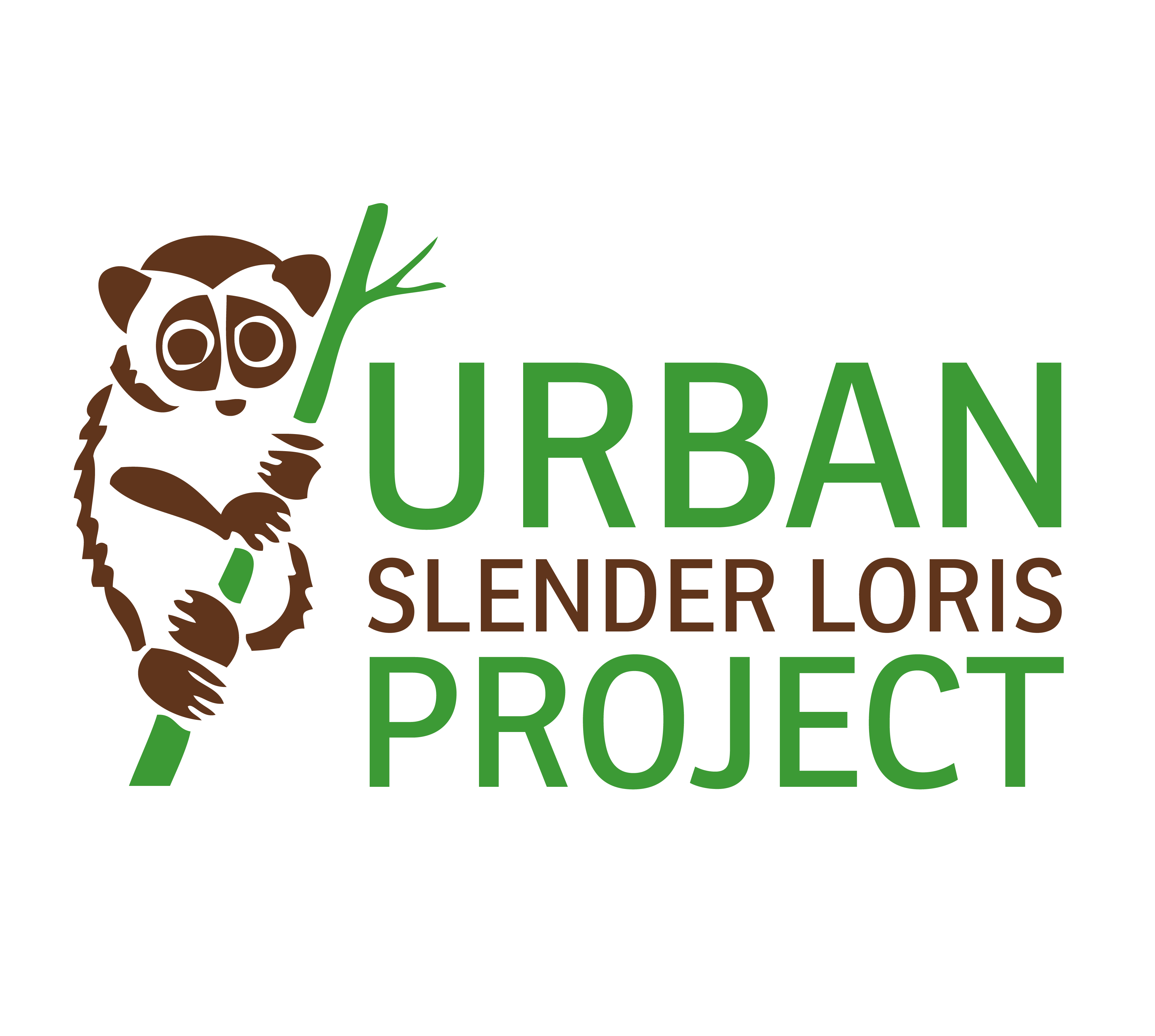 USLP | Urban Slender Loris Project